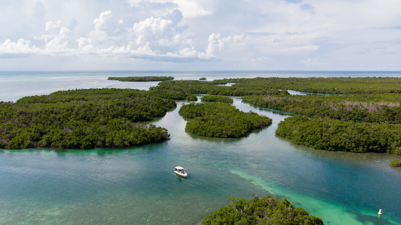 DJI_0198