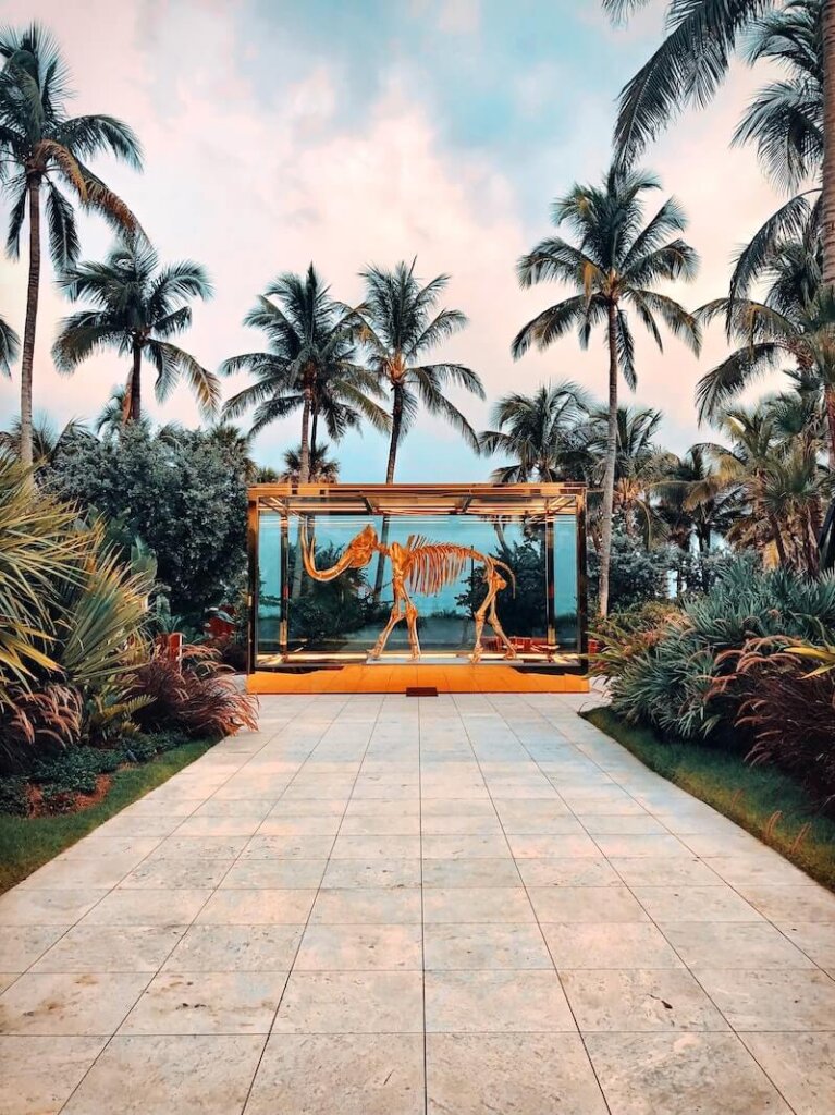 Faena - muzammil-soorma-YbHB6kOnW1M-unsplash