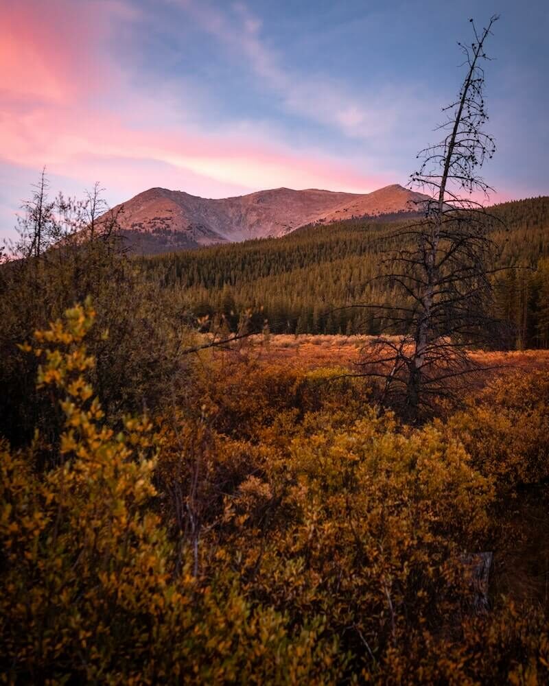 colorado alyssa-teboda-50qrv-KWQsY-unsplash